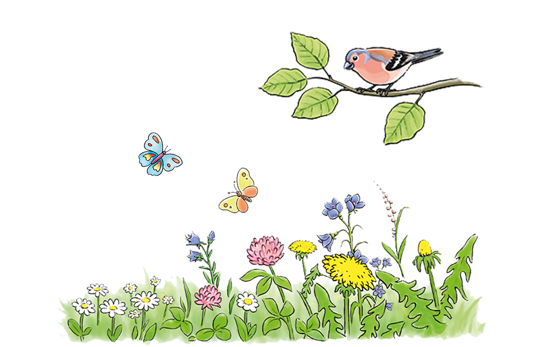 Blumen, Schmetterlinge, Vogel