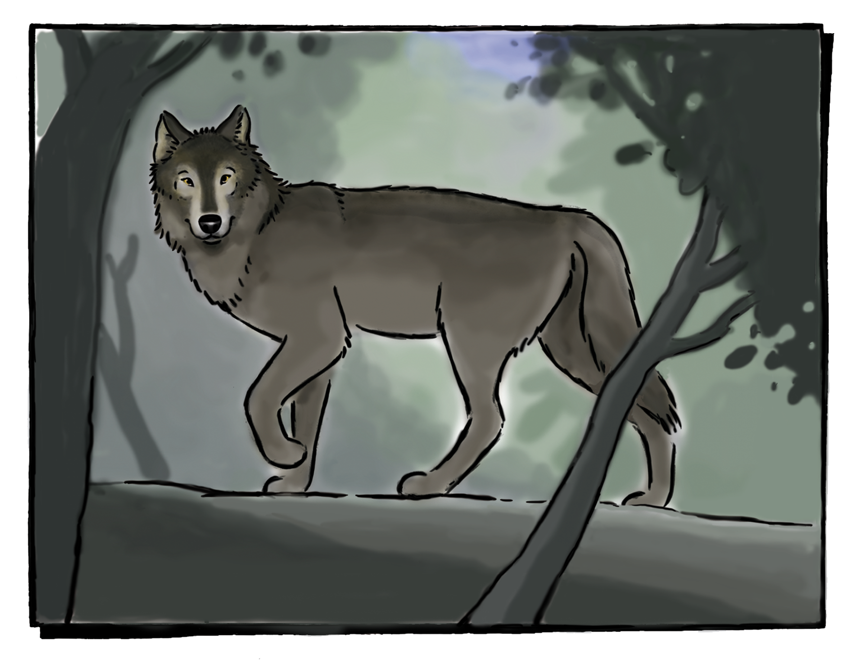 Wolf