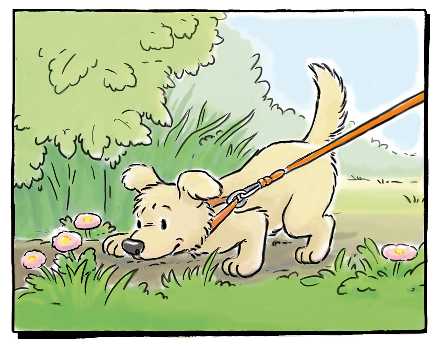 Spürhund Nicki