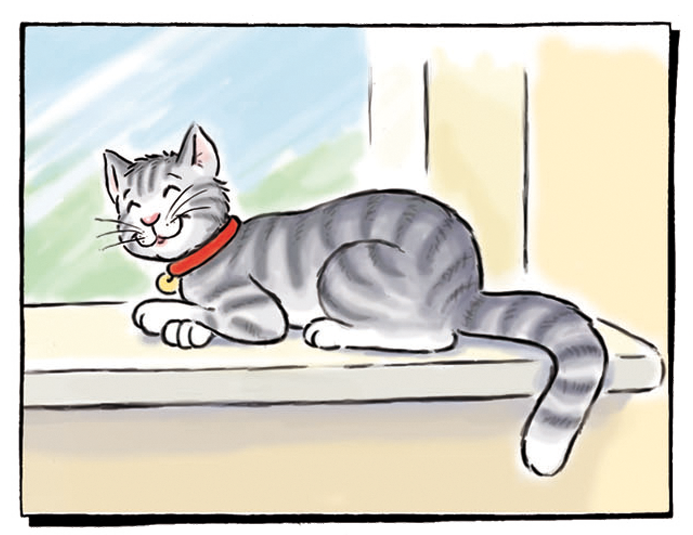 Kater Mau