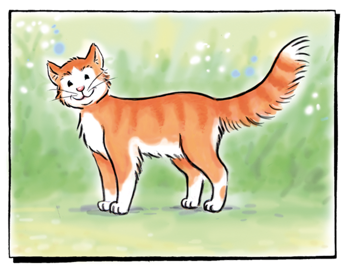 Katze Zora