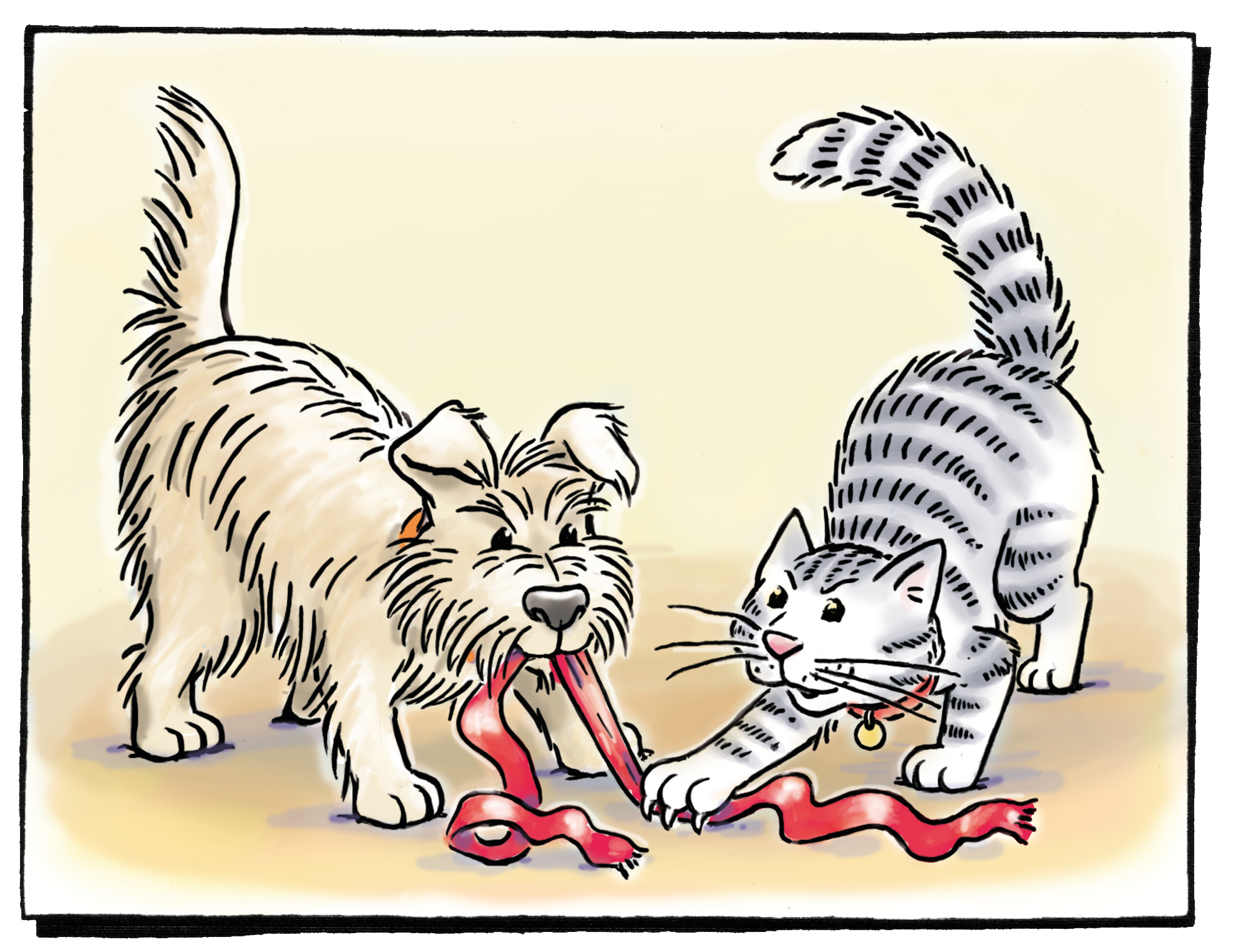 Kater Mau und Hund spielen
