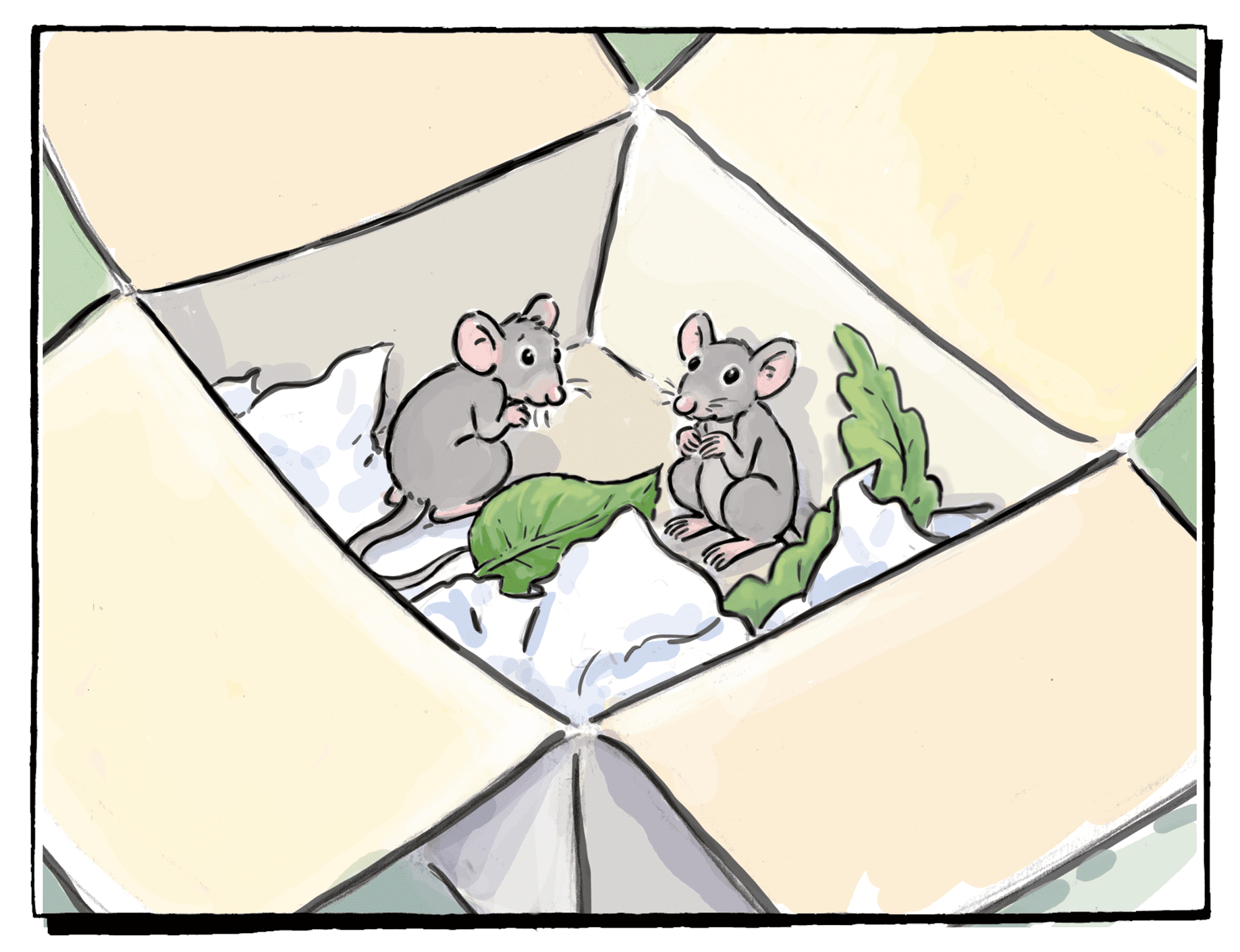 Mäuse in einer Kiste