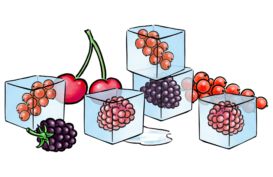 Eiswürfel mit Früchten